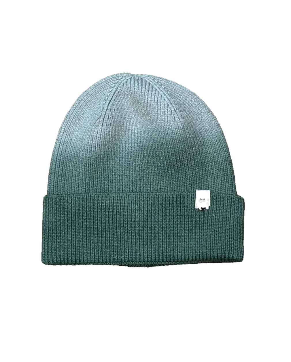 Ombre Beanie, Green