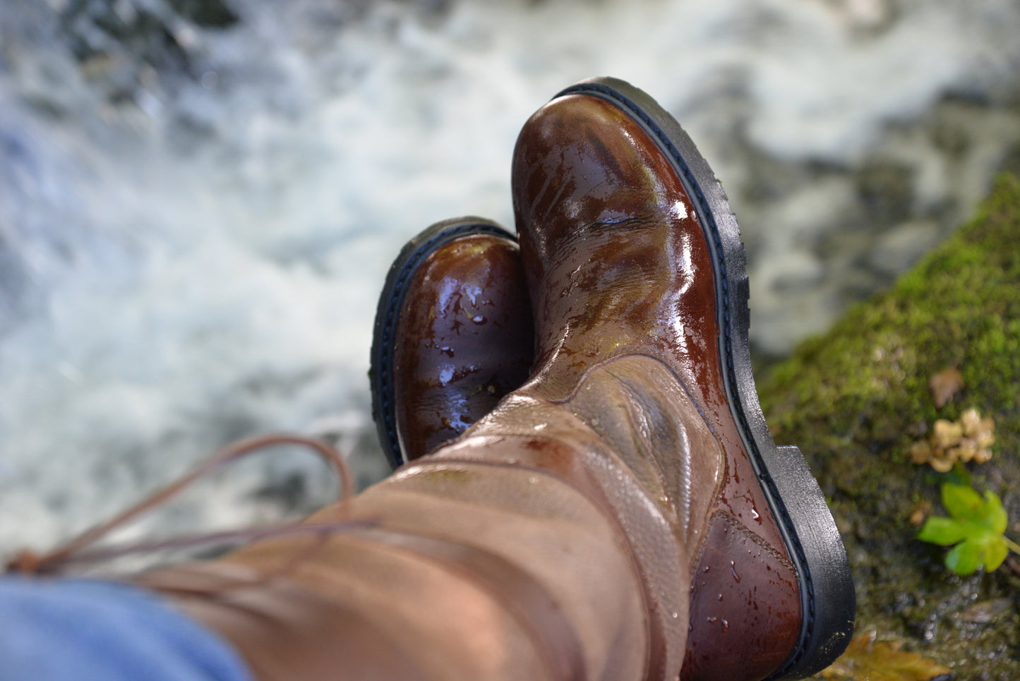 Orkney - Brown Reg Fit